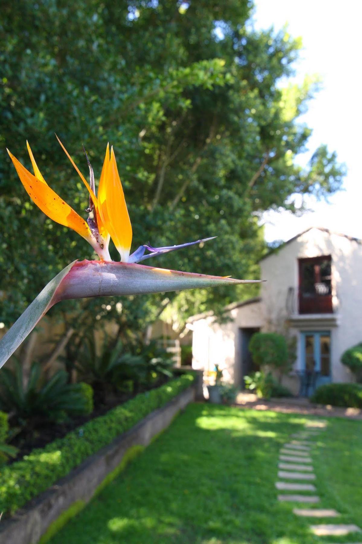 Babette Bed And Breakfast Swellendam Kültér fotó