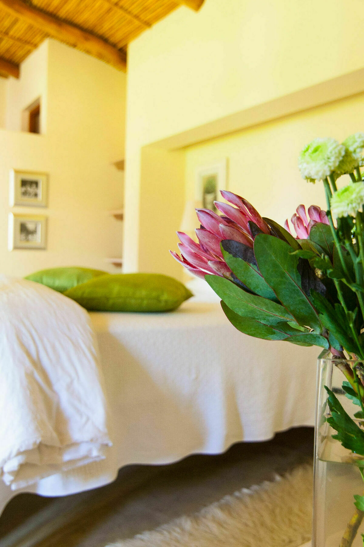 Babette Bed And Breakfast Swellendam Kültér fotó
